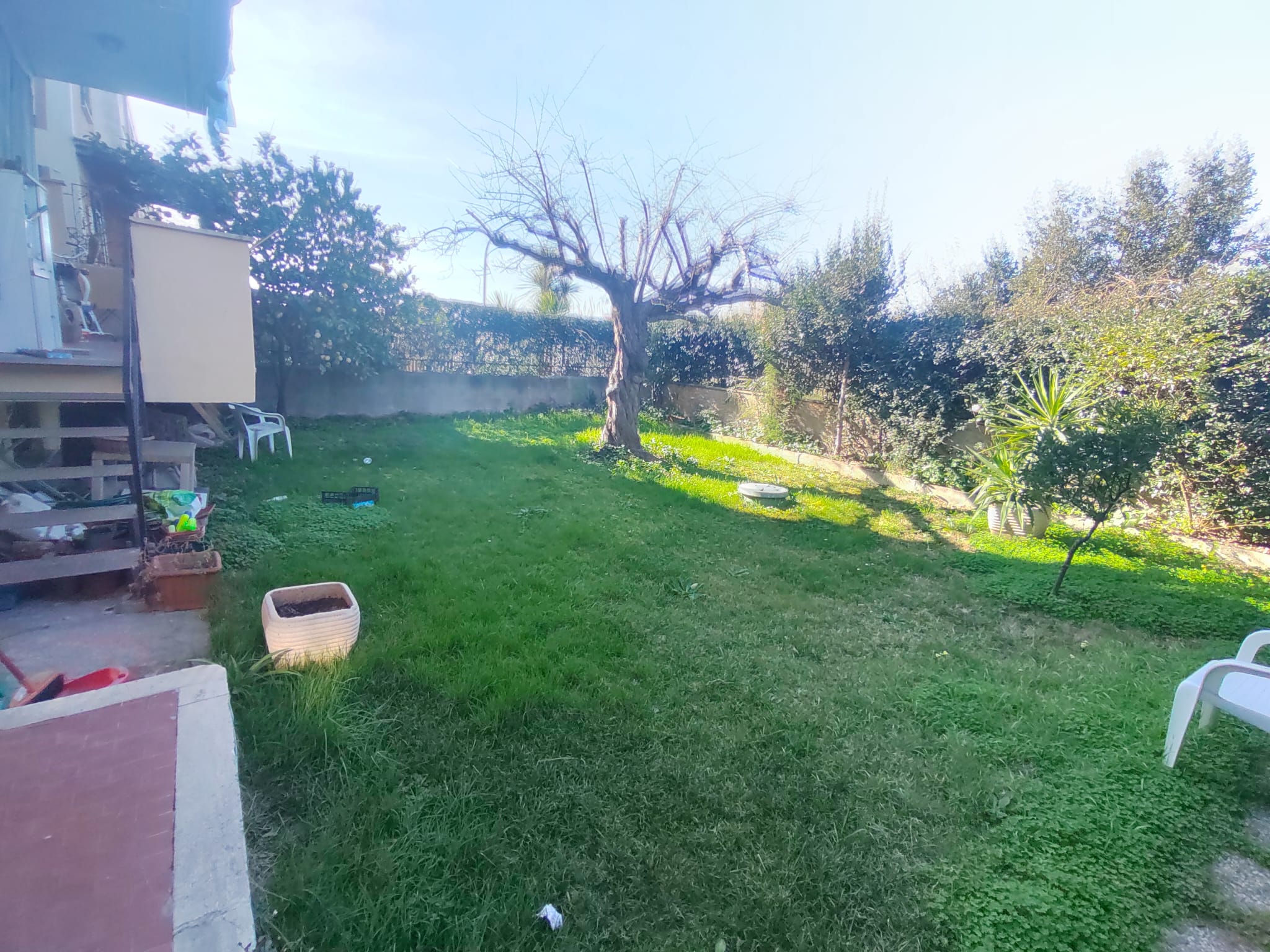 Giardino